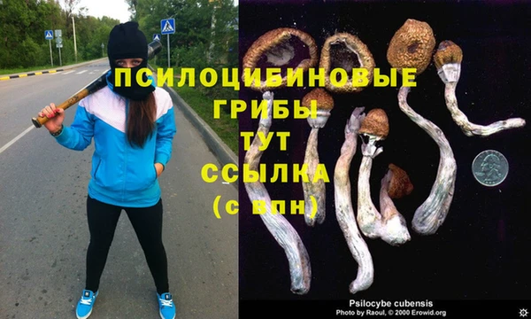 герыч Осташков