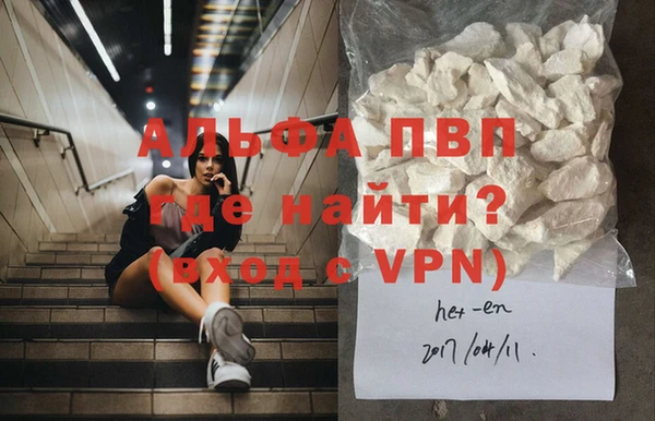 СК Осинники