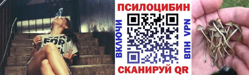 где продают наркотики  Тюкалинск  Галлюциногенные грибы Psilocybine cubensis 